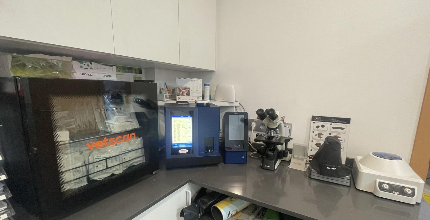 Laboratorio
